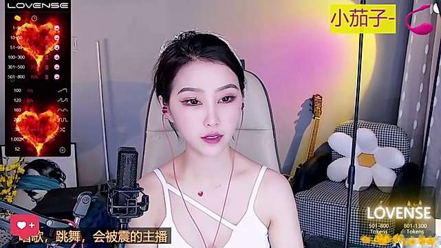 Cam for lushujie